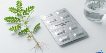 Quebra-pedra no SUS: o que muda para pacientes e como funciona o tratamento