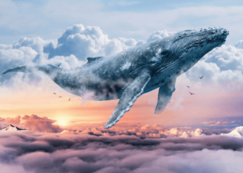 Nuvens parecem leves, mas podem pesar centenas de toneladas, mais que uma baleia azul