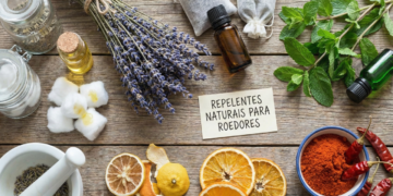 Cheiros que afastam ratos