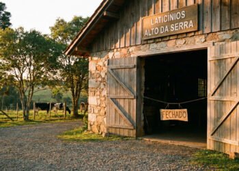 O fim inesperado de gigante dos laticínios