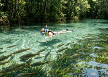 Mato Grosso do Sul une natureza e desenvolvimento