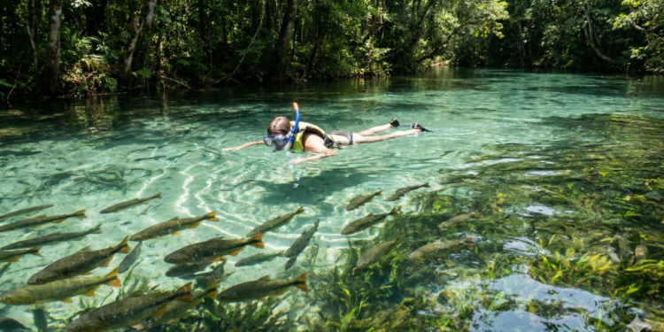 Mato Grosso do Sul une natureza e desenvolvimento
