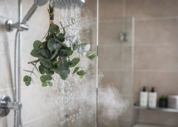 Você só precisa de um ramo de eucalipto no chuveiro para transformar o banho em um ritual de spa com cheiro, vapor e bem-estar real