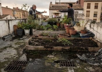Justiça manda retirar horta de terraço após água, peso excessivo e danos colocarem moradores em risco