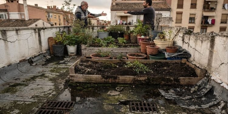 Justiça manda retirar horta de terraço após água, peso excessivo e danos colocarem moradores em risco