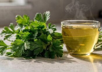 Essa erva simples do dia a dia tem um efeito poderoso que ajuda a desinchar pernas, pés e barriga de forma natural e surpreendente