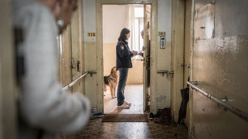 Nova lei pode gerar multas de até R$ 300 mil por deixar cachorro sozinho no imóvel por mais de 24 horas