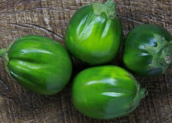 O alimento amargo que alivia o peso após refeições pesadas