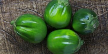 O alimento amargo que alivia o peso após refeições pesadas