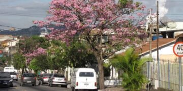 A cidade que nasceu de um acordo na Segunda Guerra Mundial tem índice de desenvolvimento entre os maiores do Rio