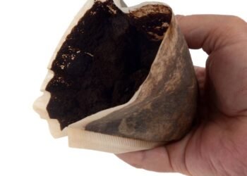 Como uma borra de café pode salvar as suas plantas