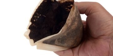Como uma borra de café pode salvar as suas plantas