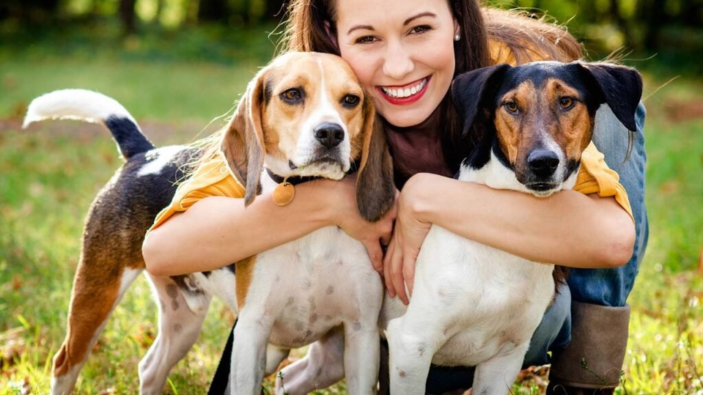 Sinais que seu cãozinho está mais feliz do que nunca