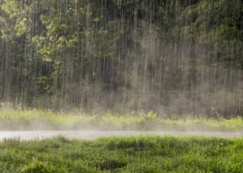 Por que conseguimos sentir o cheiro de chuva antes mesmo de uma gota cair?