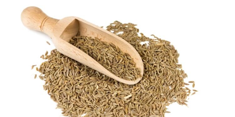 A especiaria simples que reduz gases e favorece o metabolismo - Créditos: depositphotos.com / Natalyka