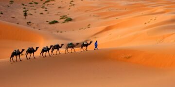 O Saara como você nunca viu: a jornada épica de uma região que passou de fundo do mar a deserto