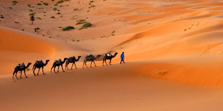 A mudança do Saara não foi mágica nem rápida. Ao longo de milhões de anos, a região passou por ciclos de clima mais úmido - Créditos: depositphotos.com / marko5