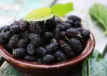 A folha dessa fruta pode aliviar ondas de calor e ajudar mulheres na menopausa