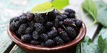 A folha dessa fruta pode aliviar ondas de calor e ajudar mulheres na menopausa