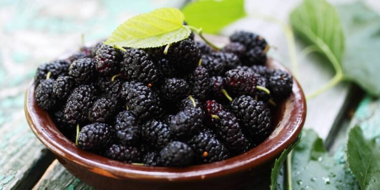 A palavra-chave principal neste tema é benefícios da folha de amora na menopausa - Créditos: depositphotos.com / mallivan