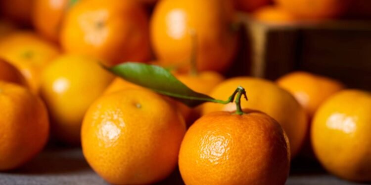 Quando se fala em benefícios do chá de folhas de laranjeira para o sono, o principal ponto é o possível efeito de relaxamento. - Créditos: depositphotos.com / MicEnin