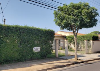 Podas regulares garantem calçada livre, fiação protegida e afastam notificações que pesam no bolso do morador