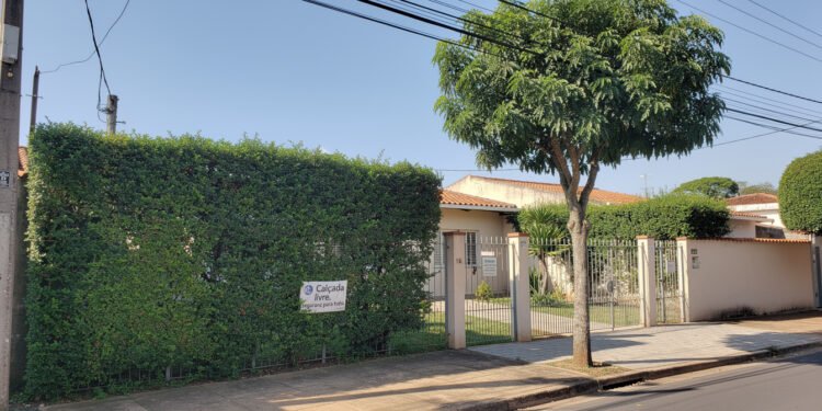 Podas regulares garantem calçada livre, fiação protegida e afastam notificações que pesam no bolso do morador