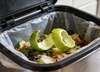 Colocar casca de limão na lixeira da cozinha: por que muita gente recomenda e como isso ajuda sua casa