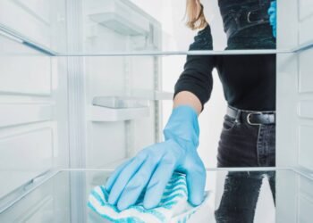 O segredo caseiro que ajuda a manter a geladeira cheirosa por mais tempo