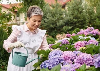 Hortênsias vibrantes: o guia completo para plantar e manter flores espetaculares no seu jardim