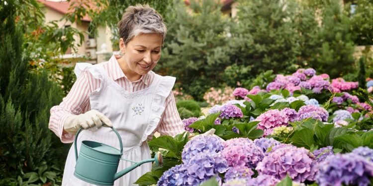 A hortênsia conhecida como hortênsia comum ou hortênsia-macrófila é uma das mais cultivadas em jardins residenciais - Créditos: depositphotos.com / IgorVetushko