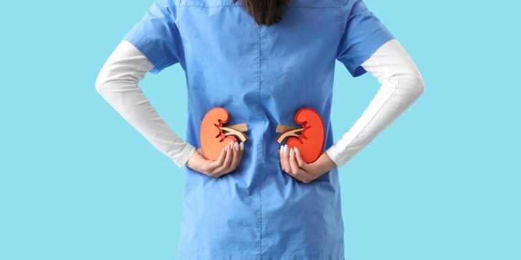 Veja a melhor forma de reverter a insuficiência renal e evitar a diálise