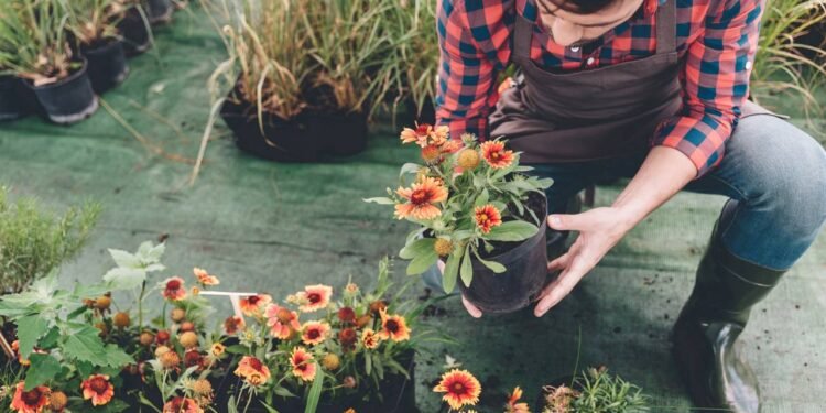 A expressão plantas que florescem o ano inteiro resume uma forma mais prática e prazerosa de cuidar do jardim - Créditos: depositphotos.com / SashaKhalabuzar