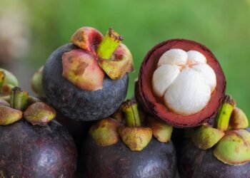 A rainha das frutas no quintal: aprenda como plantar dessa fruta tropical rara e deliciosa
