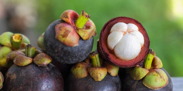 Imagine caminhar em um pomar e encontrar árvores de casca roxa carregadas de frutos exóticos - Créditos: depositphotos.com / aud0818