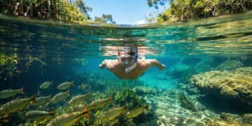 O único lugar do Brasil onde a água é tão limpa que os peixes parecem flutuar no ar