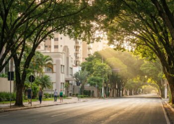 A cidade a 206 km de Brasília que a ONU elegeu como exemplo por ter mais de 1 milhão de árvores