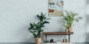 A nova tendência de plantas para 2026: espécies tropicais que deixam qualquer ambiente mais acolhedor