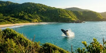 A praia brasileira onde o mar criou um dos cenários mais desejados do Brasil com baleias à vista
