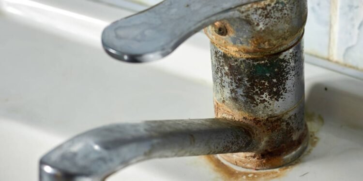 O tártaro é aquela crosta esbranquiçada e dura que se forma com o tempo na canilla - Créditos: depositphotos.com / gadzik.oleg@gmail.com