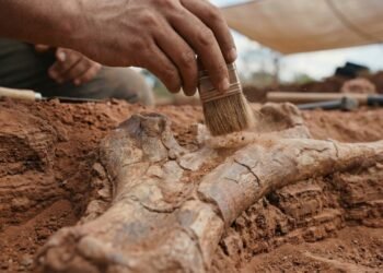 A cidade mineira onde dinossauros pré-históricos dividem território com a elite da genética do gado brasileiro