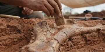 A cidade mineira onde dinossauros pré-históricos dividem território com a elite da genética do gado brasileiro