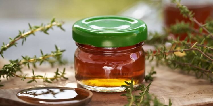 O xarope expresso de tomilho é um preparo concentrado feito com folhas e flores de Thymus vulgaris, - Créditos: depositphotos.com / MadeleineSteinbach