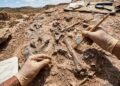 Fósseis de 150 milhões de anos e mais de 1.000 pegadas de dinossauros surpreendem cientistas na Espanha