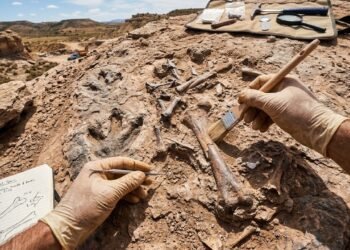 Fósseis de 150 milhões de anos e mais de 1.000 pegadas de dinossauros surpreendem cientistas na Espanha