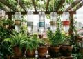 Como fazer um sistema de rega automática para suas plantas utilizando garrafas PET