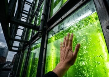 Edifício na Alemanha transforma fachada em usina viva com 129 painéis de algas que produzem biogás para aquecimento e energia interna