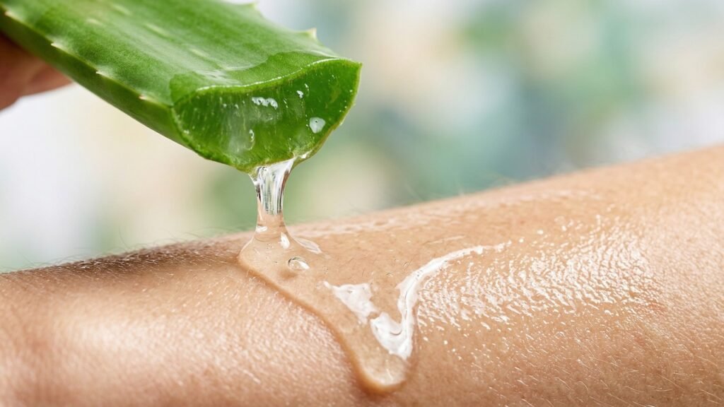 O poder escondido da babosa: o que ninguém te contou sobre esse hidratante natural