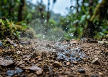 Cheiro de chuva não é imaginação e a ciência revela por que o aroma aparece quando as primeiras gotas caem