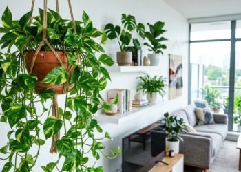 Mora em apartamento pequeno? Essa planta resistente pode transformar seu espaço sem dar trabalho